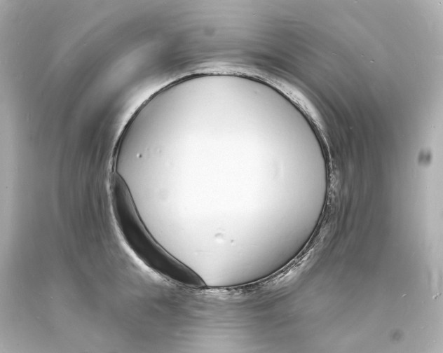 X0000093600855200711051156