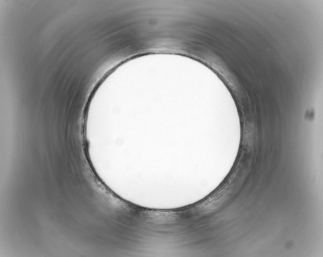 X0000093600856200711051156