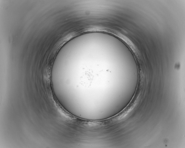 X0000093600857200711051157