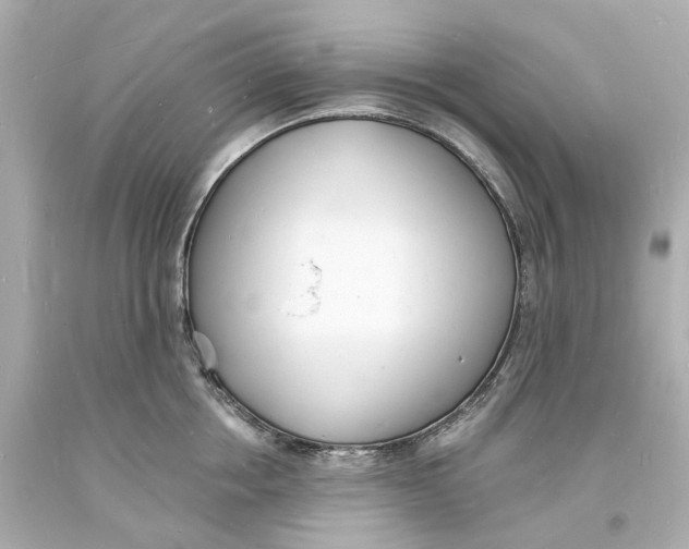 X0000093600858200711051157