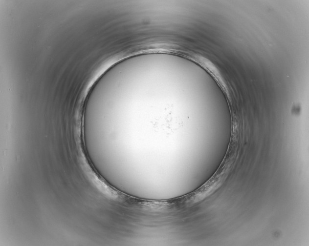 X0000093600859200711051157