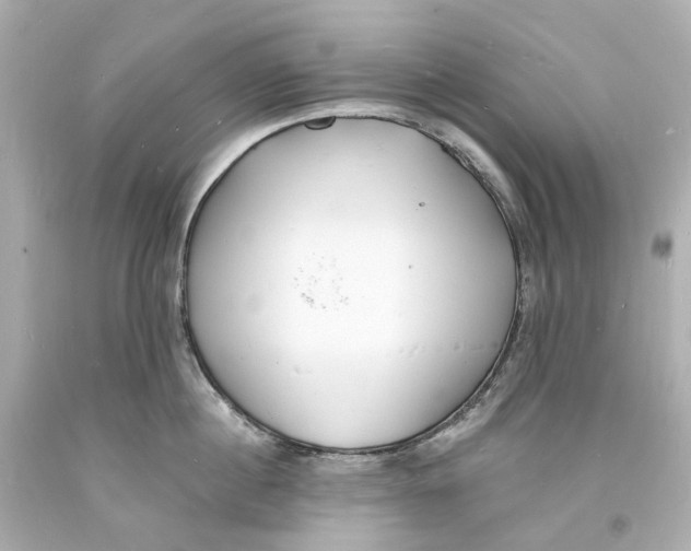 X0000093600860200711051157