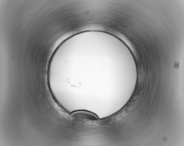 X0000093600861200711051157