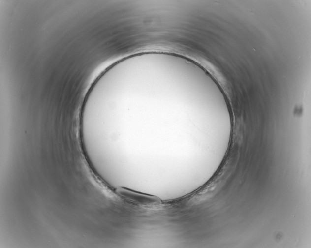 X0000093600862200711051157