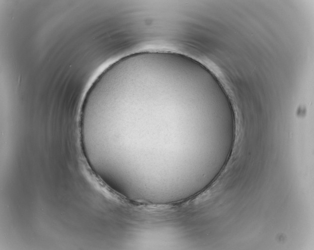 X0000093600864200711051157