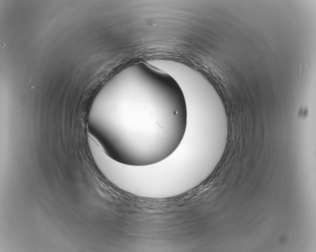 X0000093600868200711051156