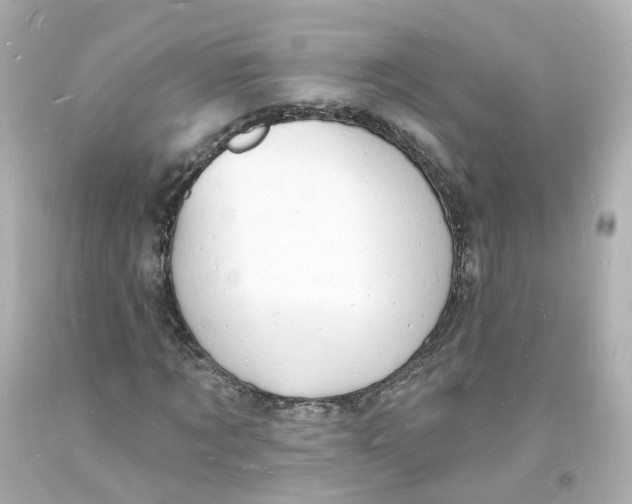 X0000093600869200711051156