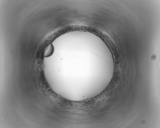 X0000093600870200711051156