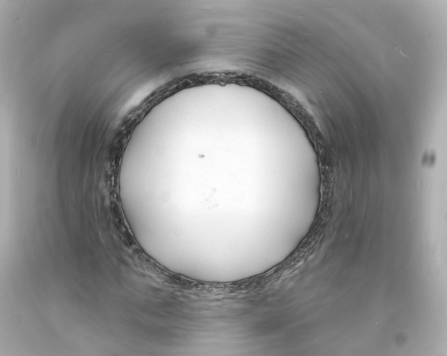 X0000093600871200711051156