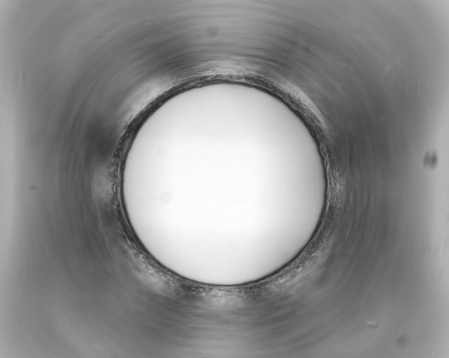 X0000093600874200711051156