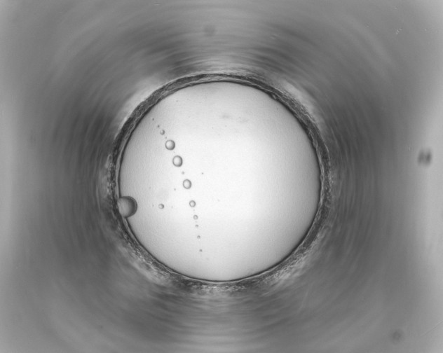 X0000093600875200711051156