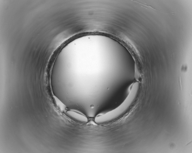 X0000093600876200711051156