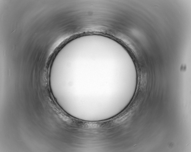 X0000093600878200711051156