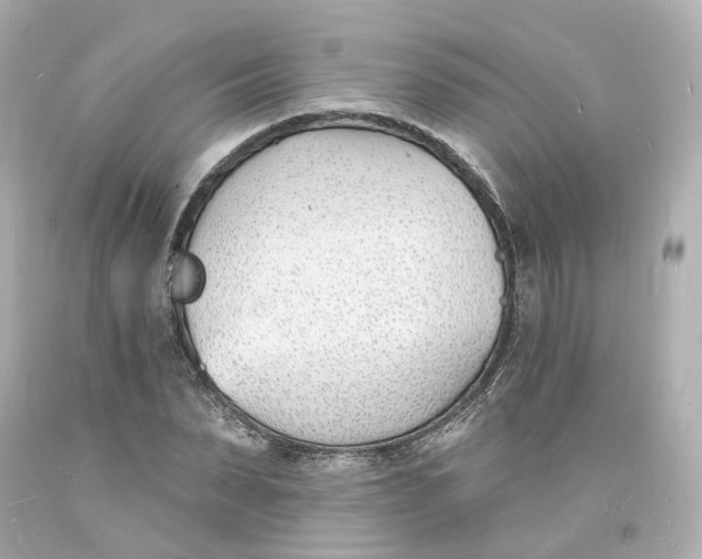 X0000093600879200711051156