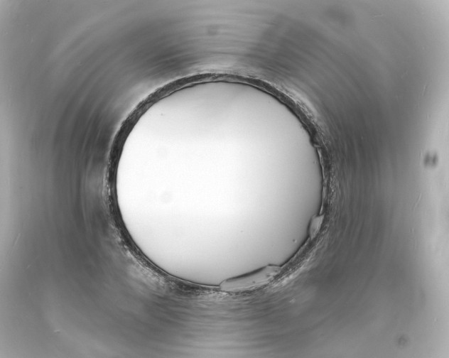 X0000093600880200711051156