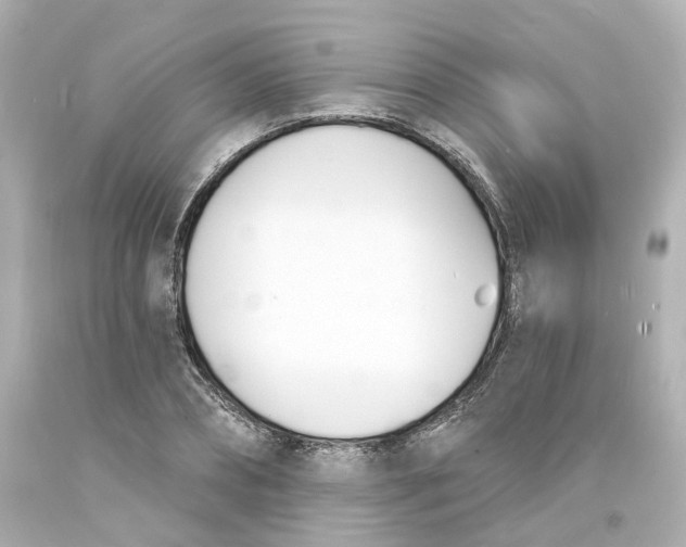 X0000093600882200711051156