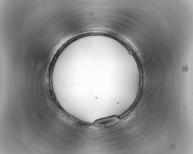 X0000093600883200711051156