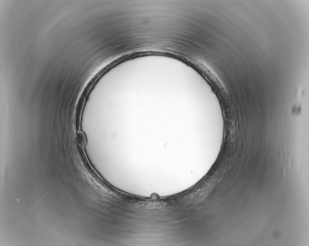 X0000093600884200711051156