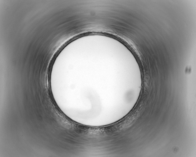 X0000093600887200711051156