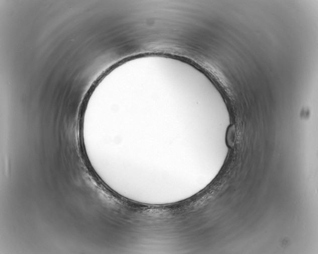 X0000093600888200711051156