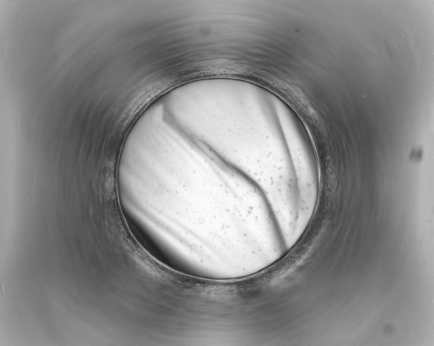 X0000093600889200711051156