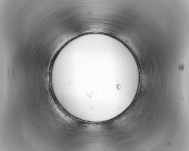 X0000093600890200711051156