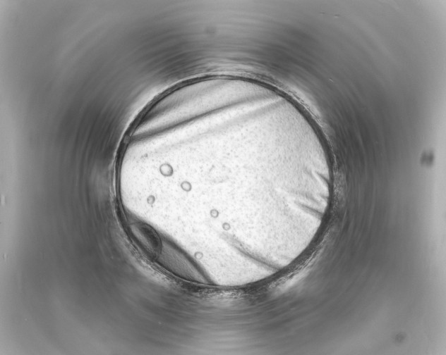 X0000093600891200711051156