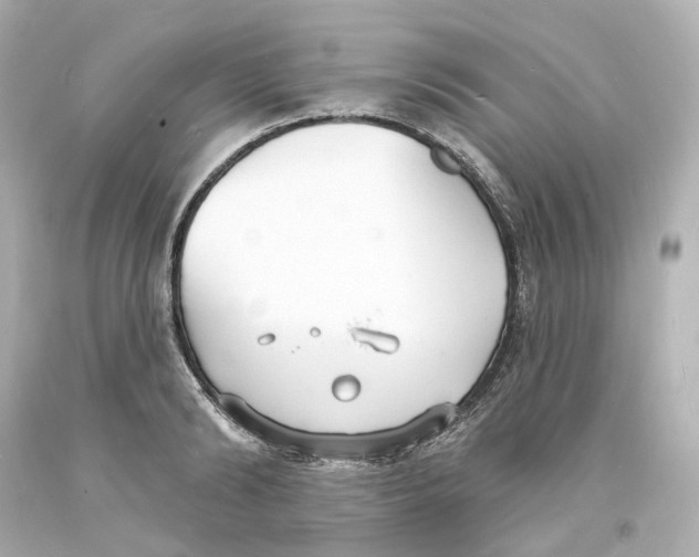 X0000093600894200711051156