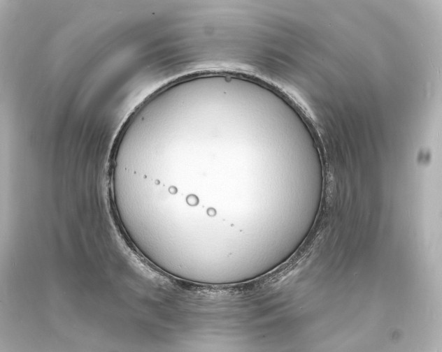 X0000093600895200711051156