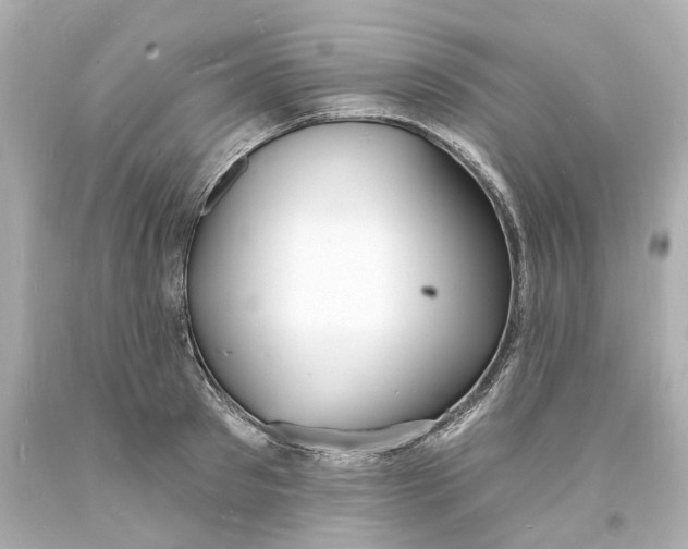 X0000093600897200711051156