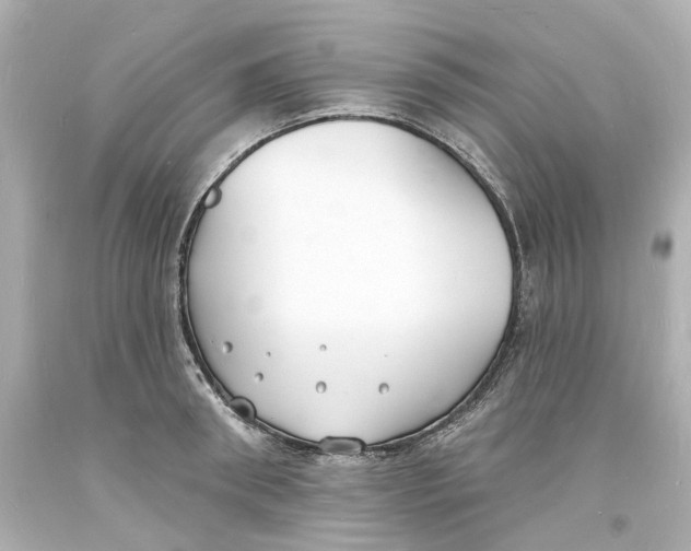 X0000093600898200711051156