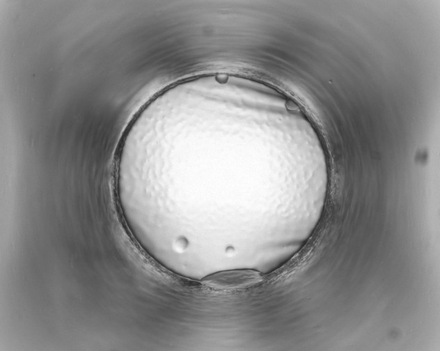 X0000093600899200711051156