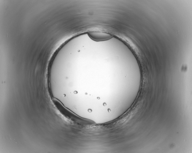 X0000093600902200711051156