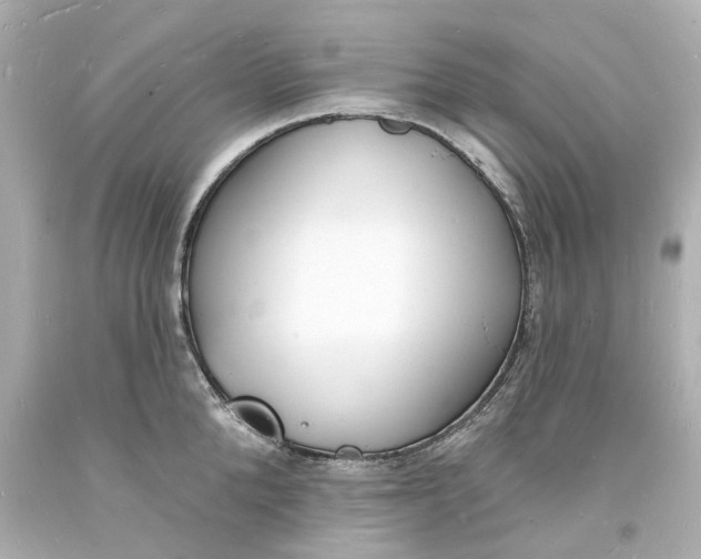 X0000093600904200711051156