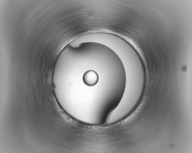 X0000093600905200711051155