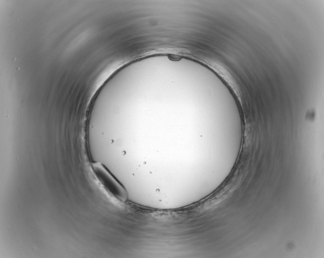 X0000093600906200711051155