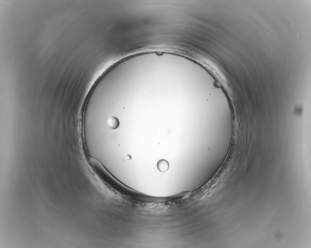 X0000093600907200711051155