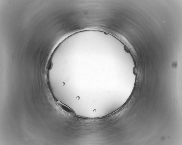 X0000093600908200711051155