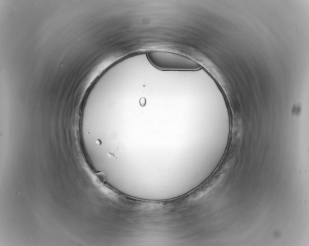 X0000093600909200711051155