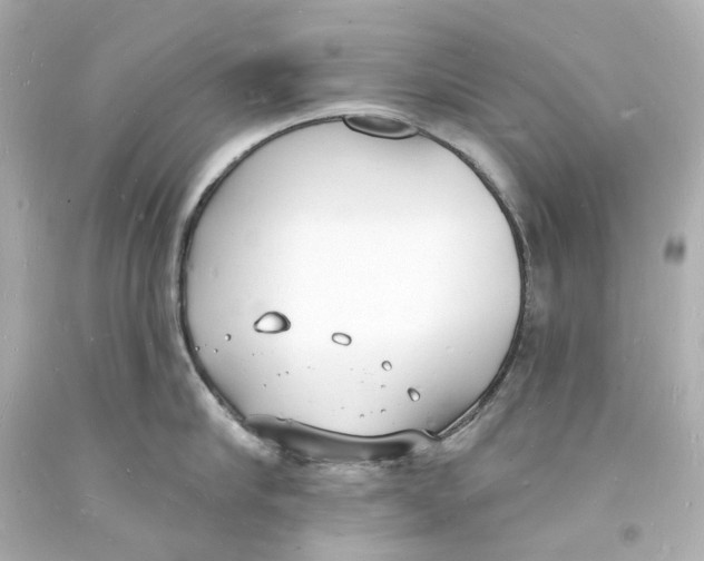 X0000093600910200711051155