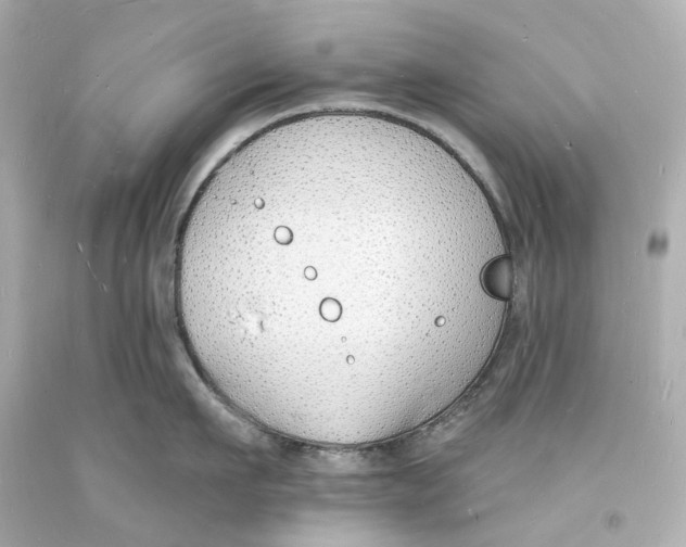 X0000093600911200711051155