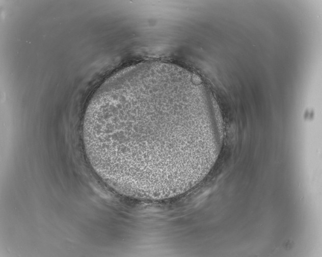 X0000093600913200711051155