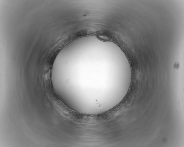 X0000093600914200711051155