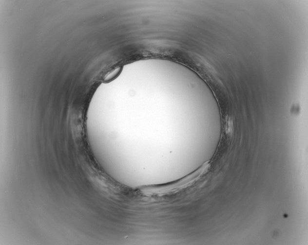 X0000093600915200711051155