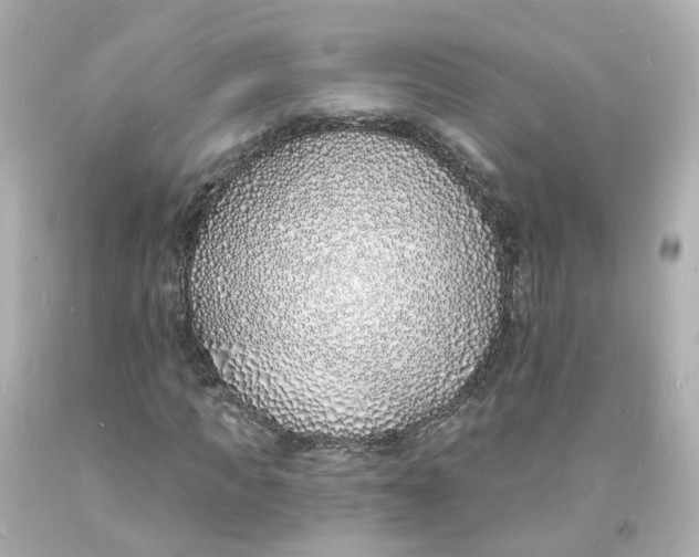 X0000093600917200711051155