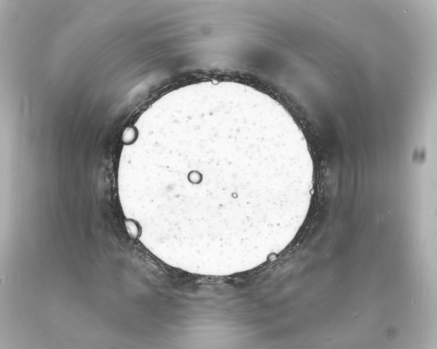 X0000093600918200711051155