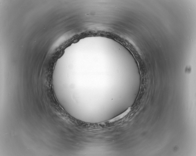 X0000093600919200711051155