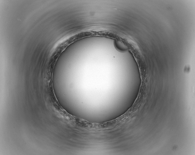 X0000093600920200711051155