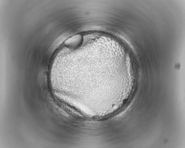 X0000093600921200711051155