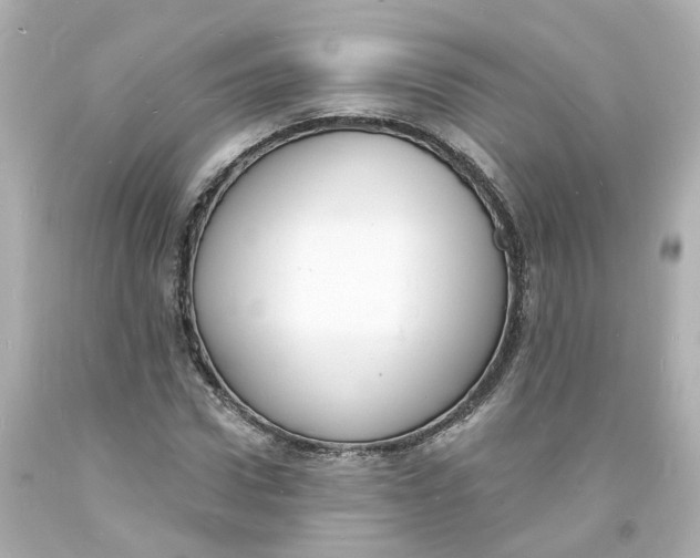 X0000093600922200711051155